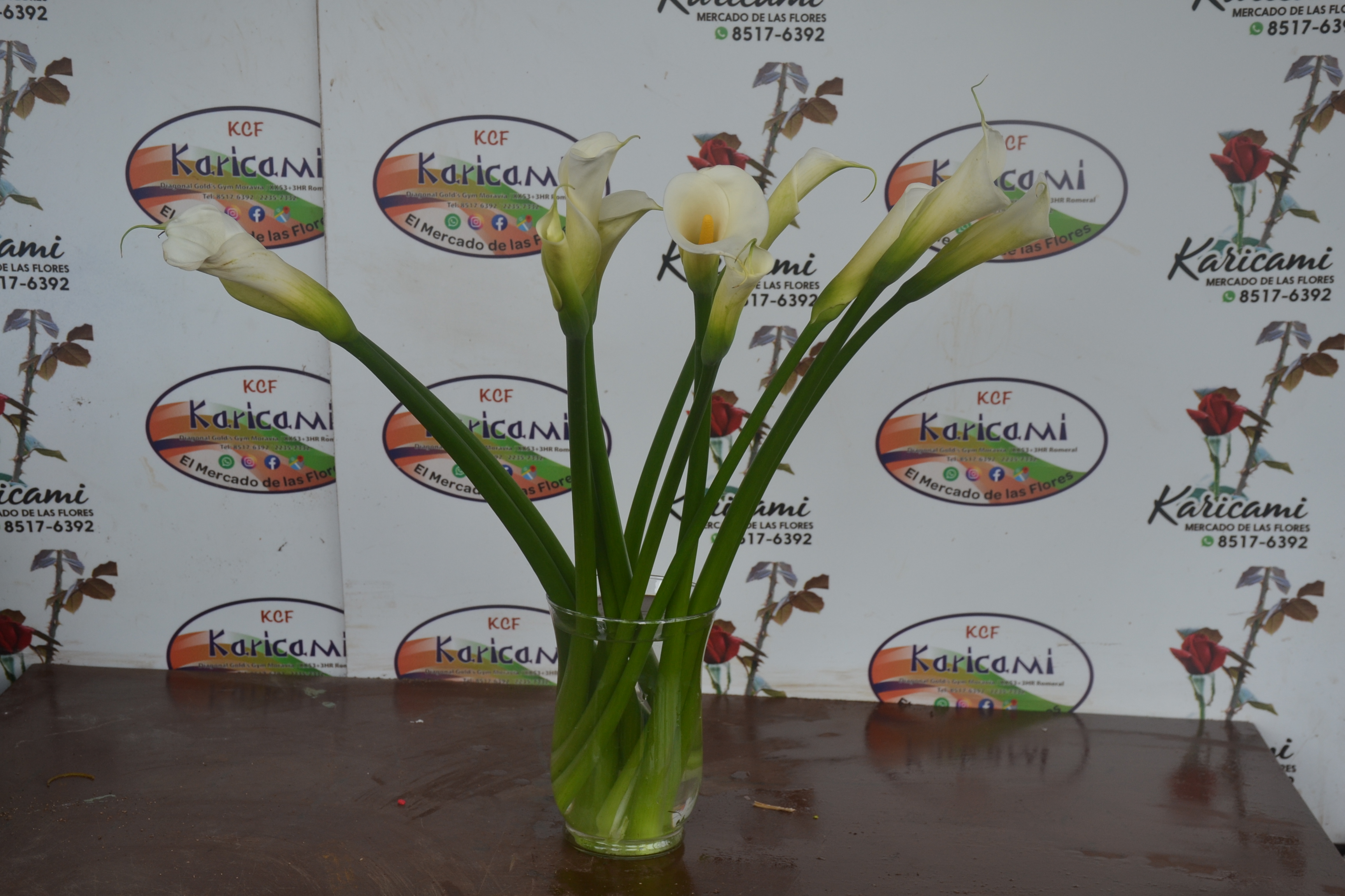 Docena de Calas - Arreglo floral disponible en Karicami