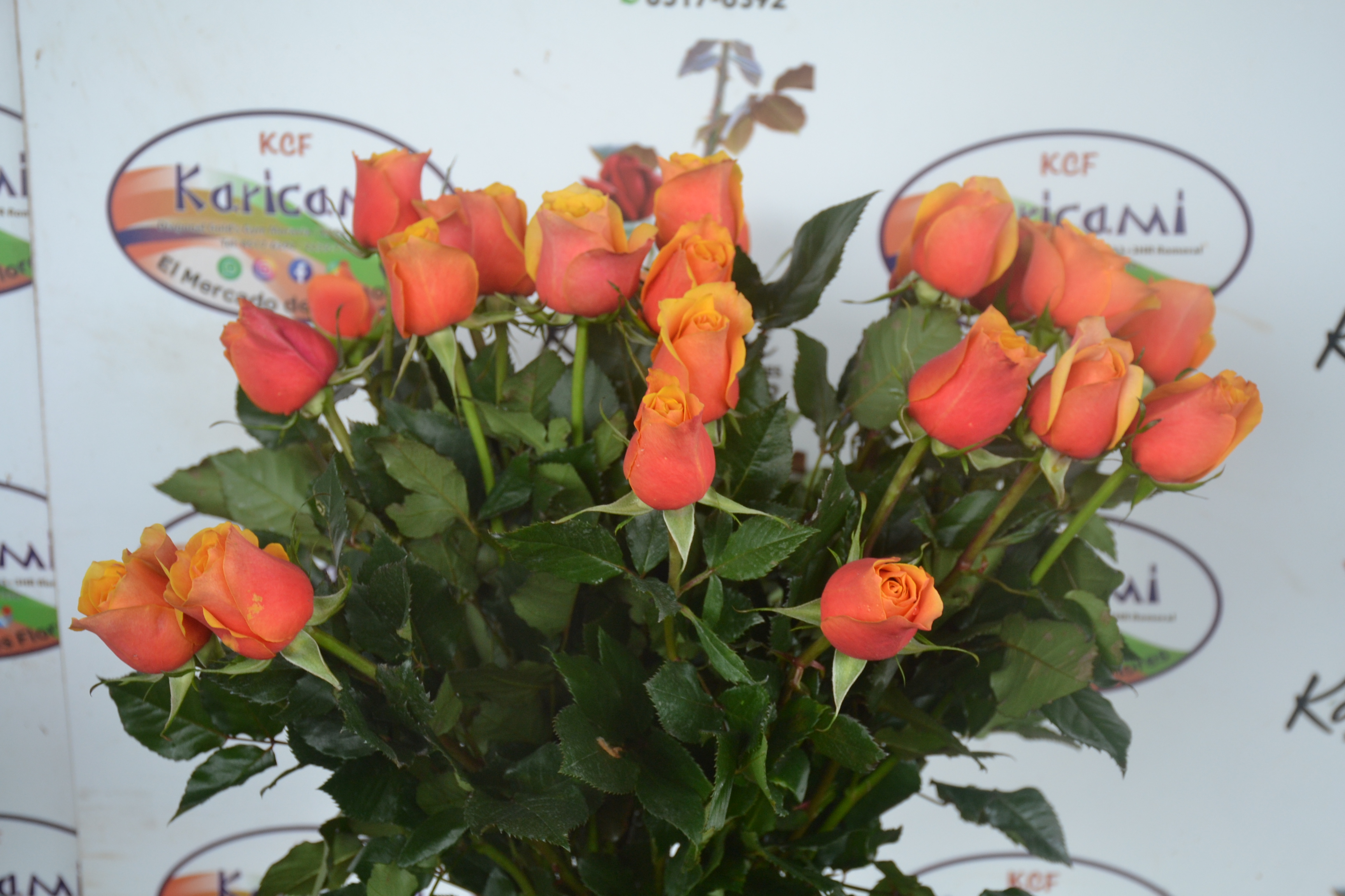 Ramo Natural de Rosas de Colores - Arreglo floral disponible en Karicami