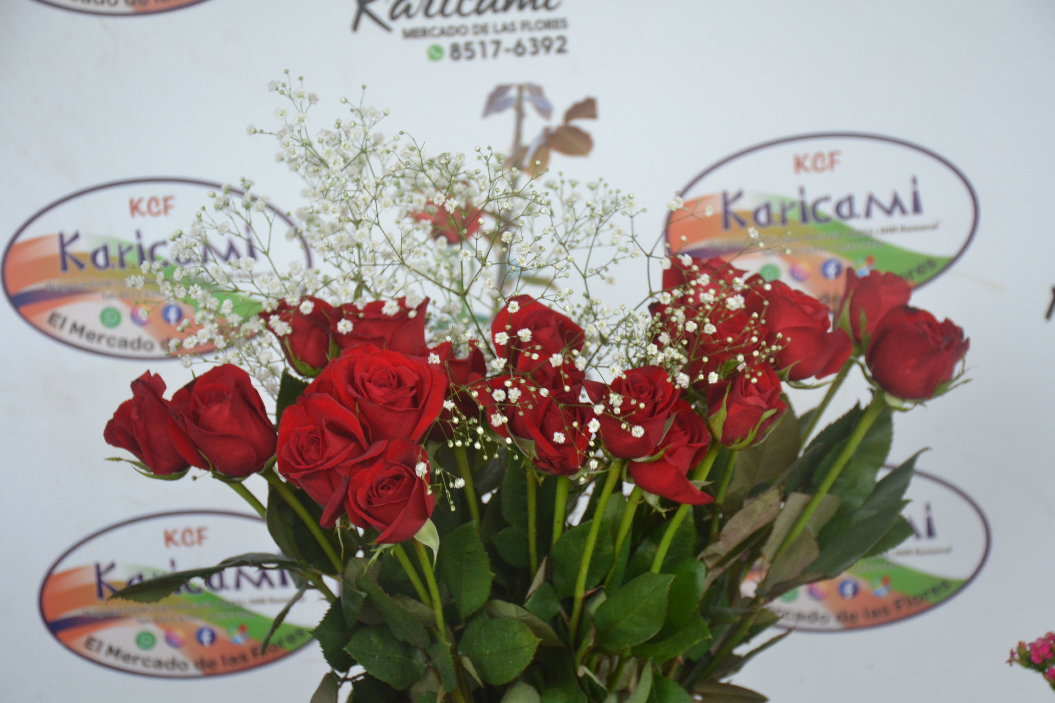 Ramo de Rosas Natural - Arreglo floral disponible en Karicami